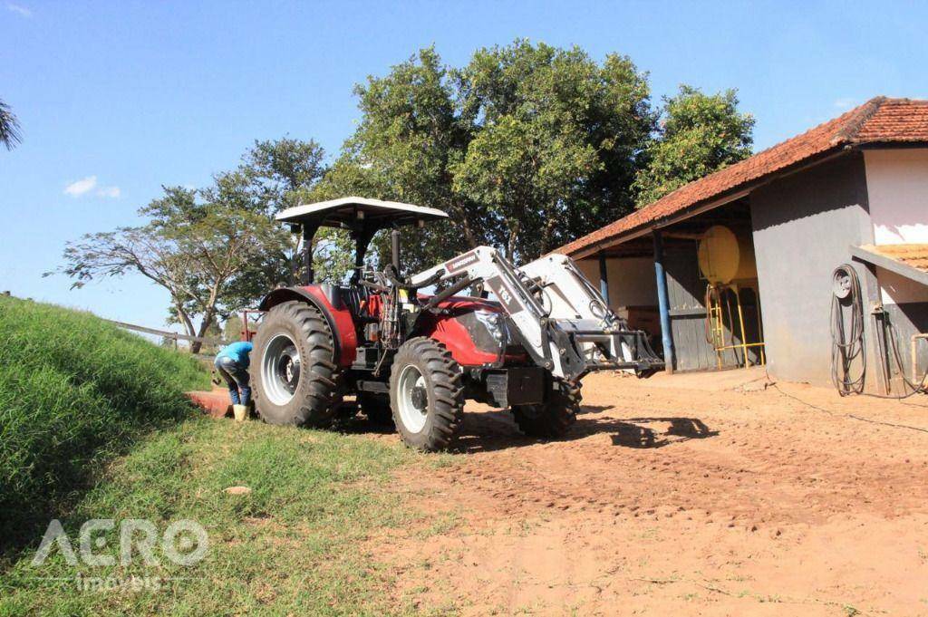 Fazenda à venda com 3 quartos, 400m² - Foto 48