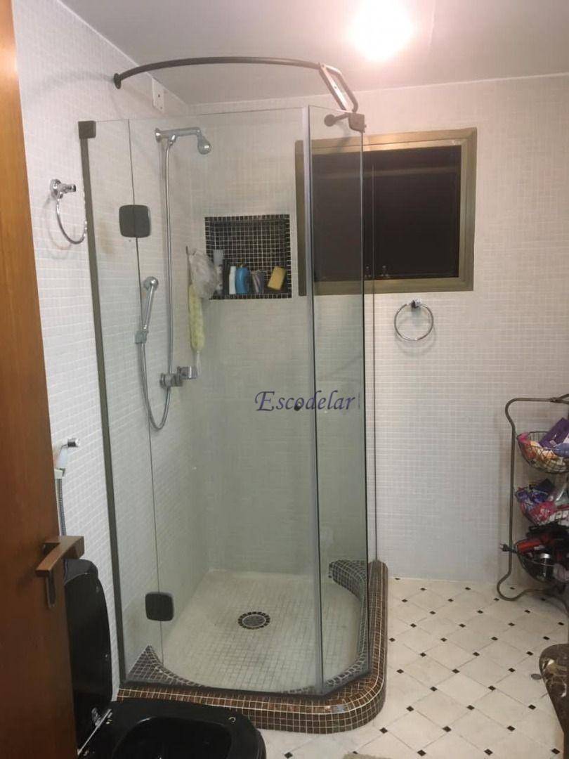 Apartamento à venda com 3 quartos, 223m² - Foto 10