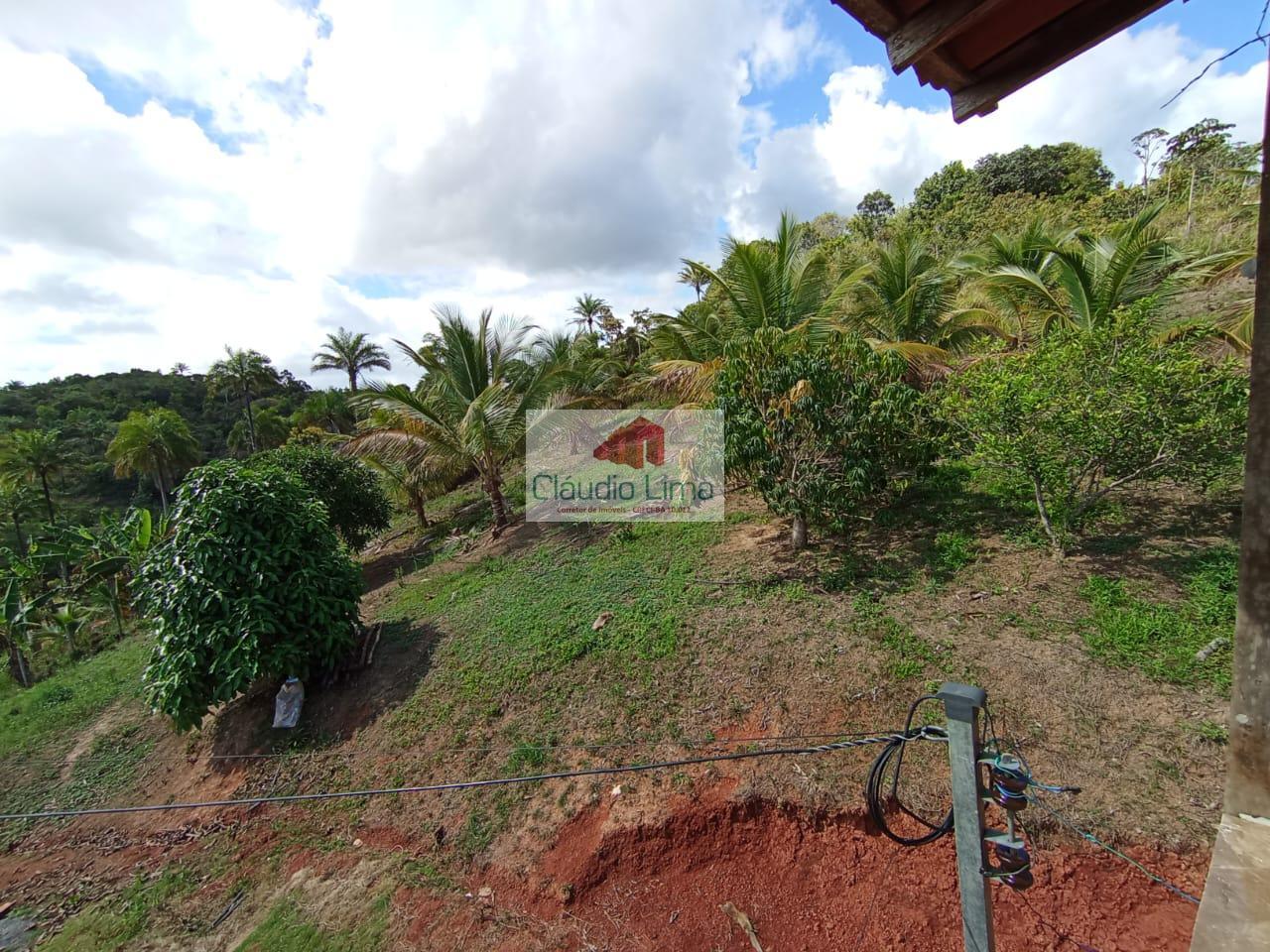 Fazenda à venda com 2 quartos, 35m² - Foto 23