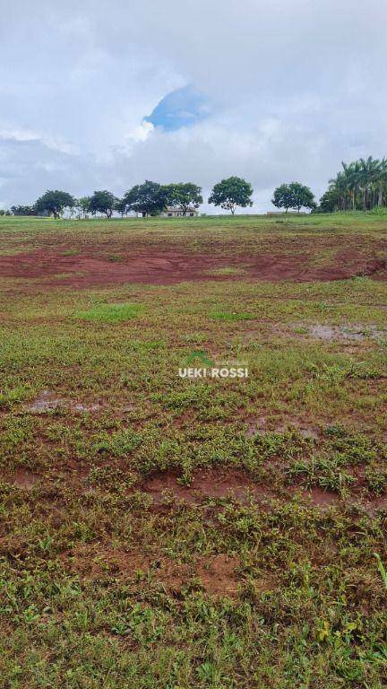 Loteamento e Condomínio à venda, 1500M2 - Foto 2