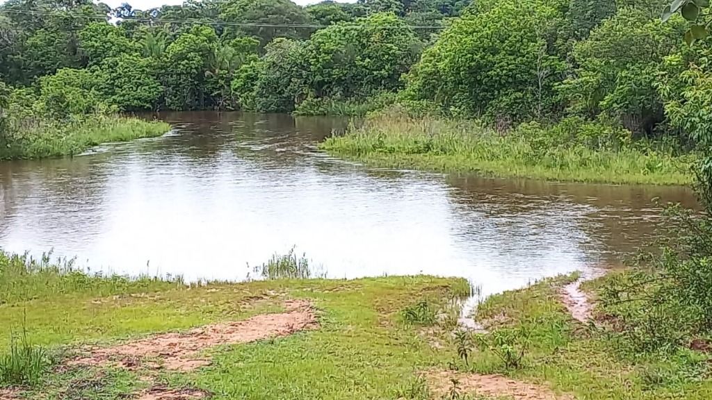 Fazenda-Sítio-Chácara, 402 hectares - Foto 3