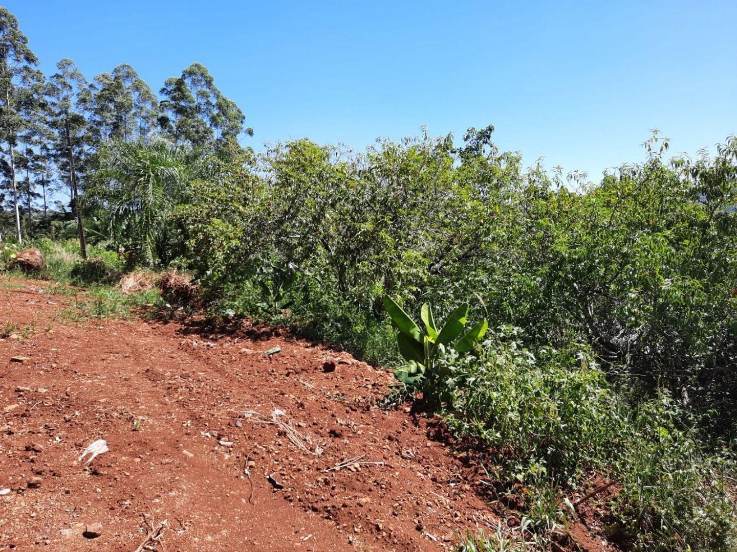 Fazenda à venda, 1200m² - Foto 5