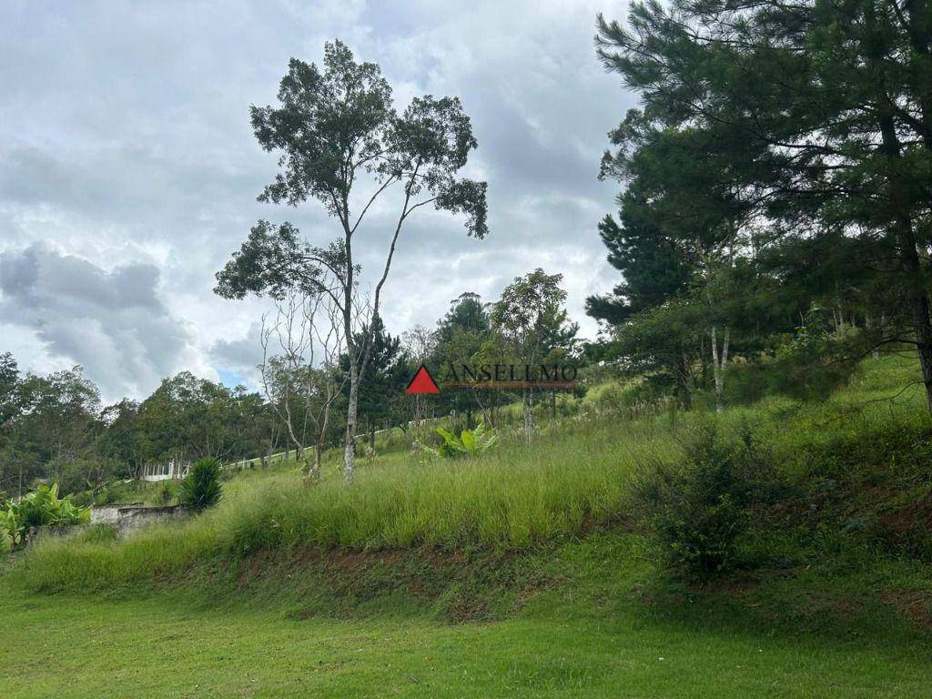 Chácara à venda com 3 quartos, 200m² - Foto 8