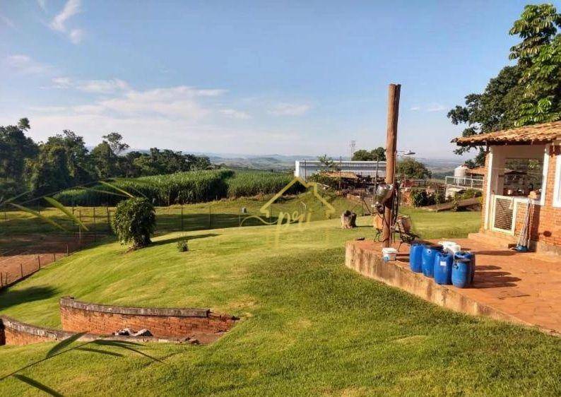 Fazenda à venda com 3 quartos, 1000m² - Foto 28