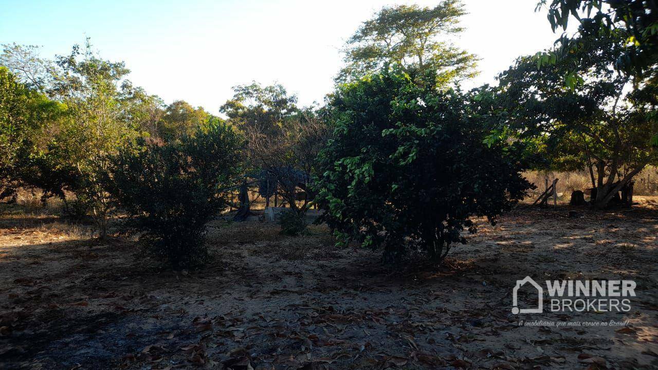 Fazenda à venda com 2 quartos, 4500000M2 - Foto 57