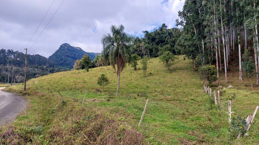 Fazenda à venda, 23900m² - Foto 24