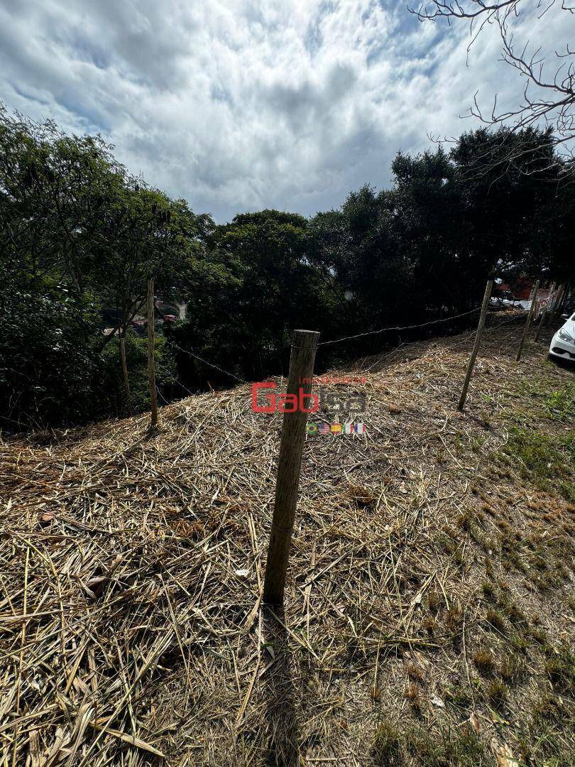 Terreno à venda, 1768M2 - Foto 5