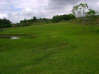 Fazenda à venda com 2 quartos - Foto 1