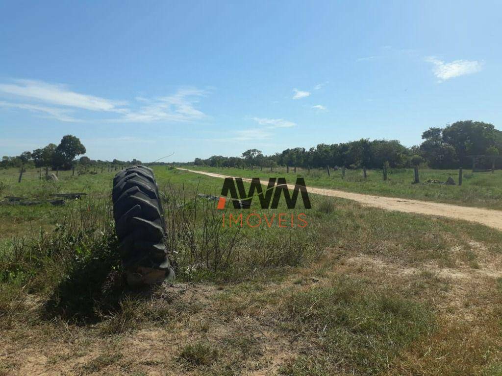 Fazenda à venda, 31060000M2 - Foto 3