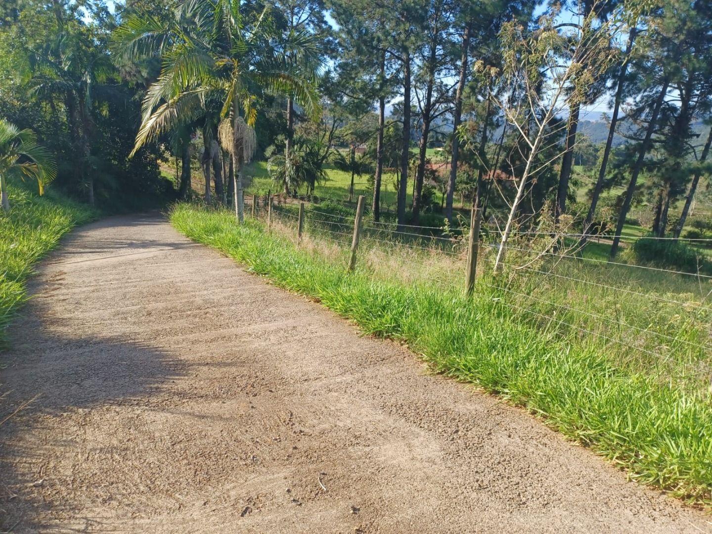 Fazenda à venda com 3 quartos, 20000m² - Foto 8