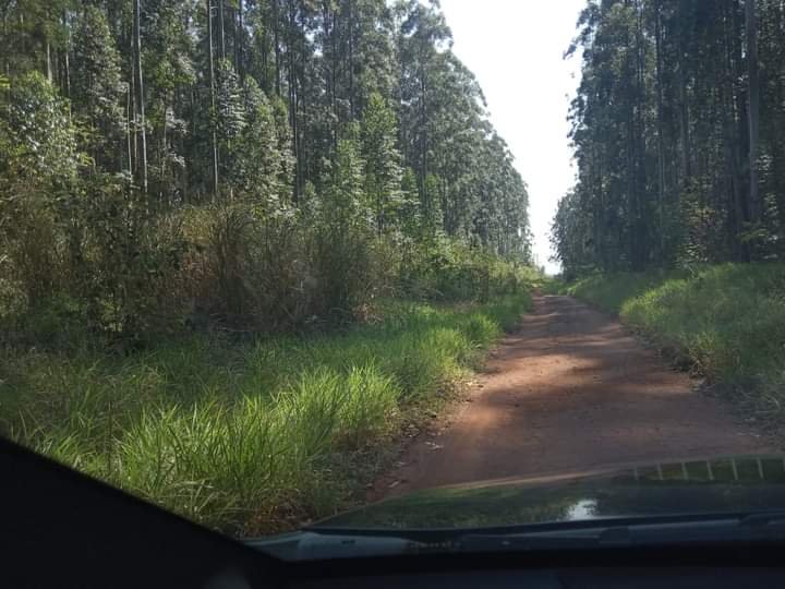 Fazenda à venda, 800m² - Foto 7