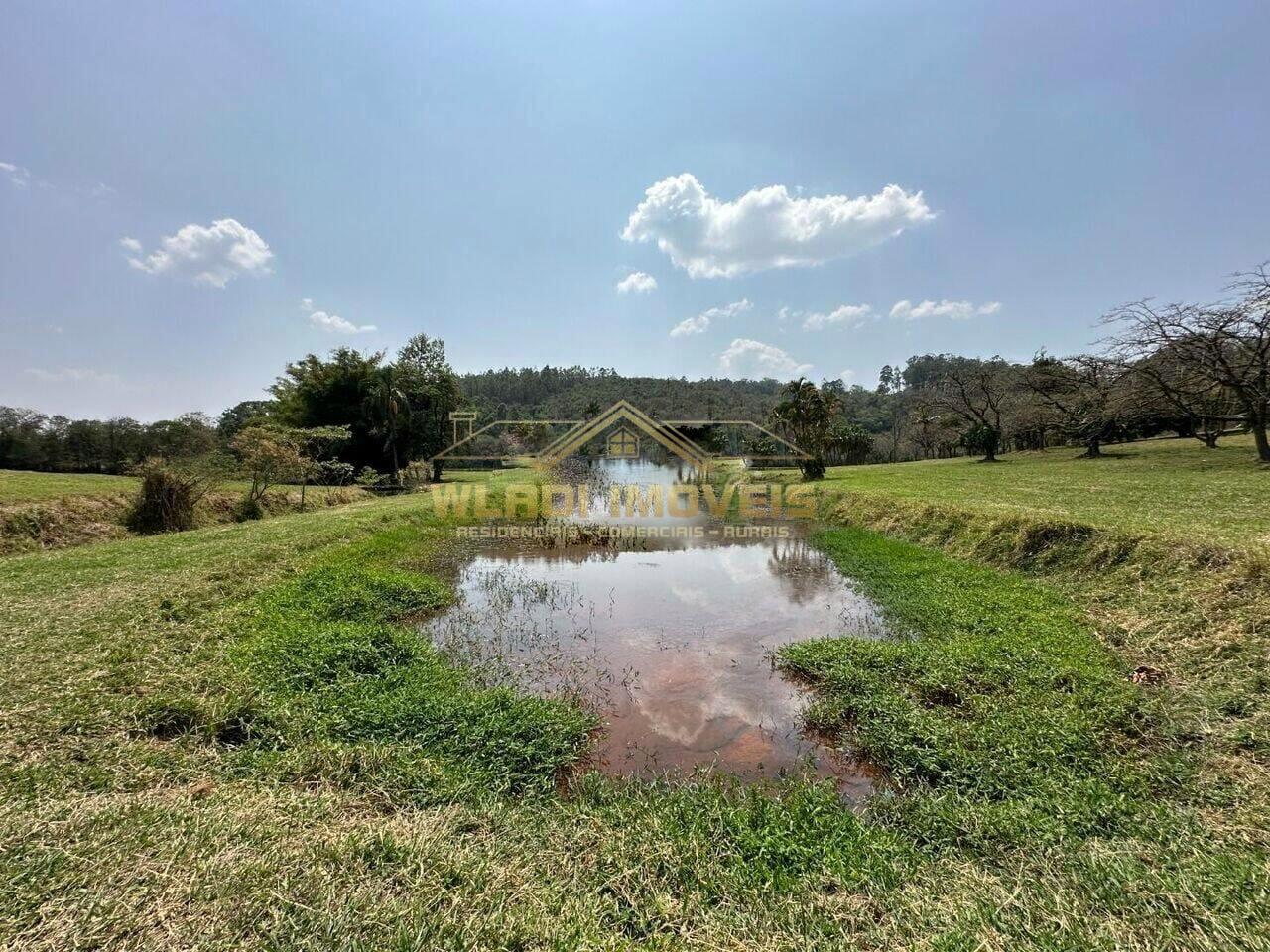 Fazenda à venda com 3 quartos, 14m² - Foto 5