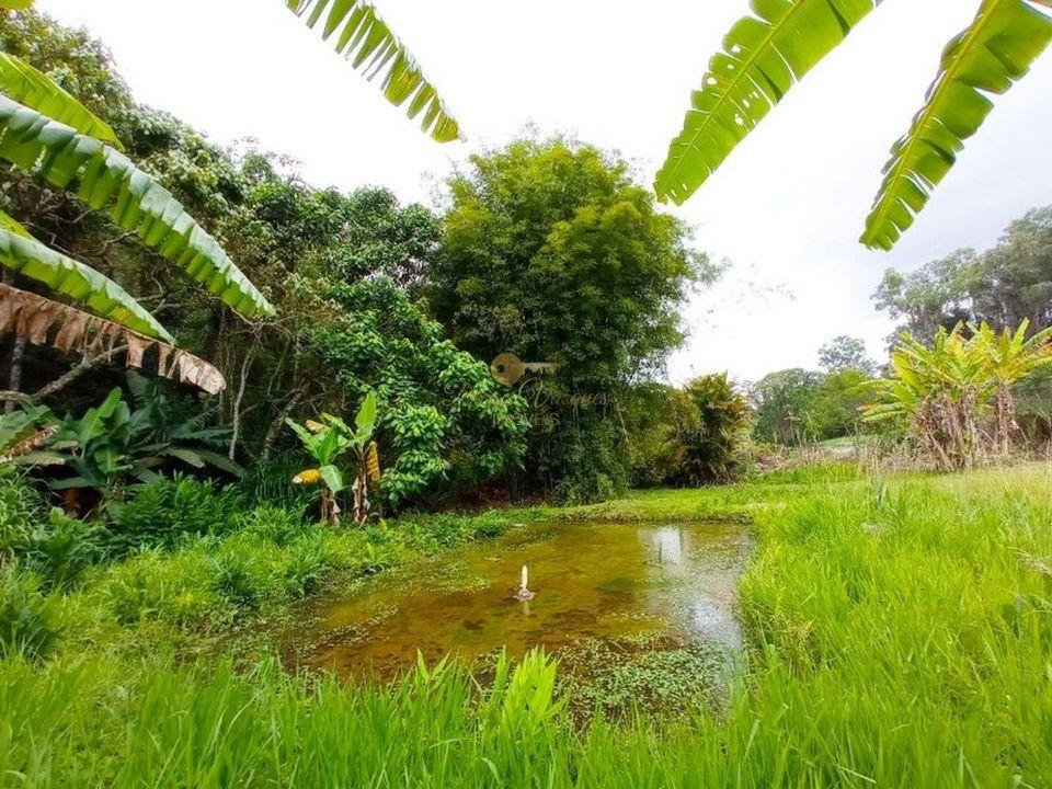 Fazenda à venda com 6 quartos, 211m² - Foto 33