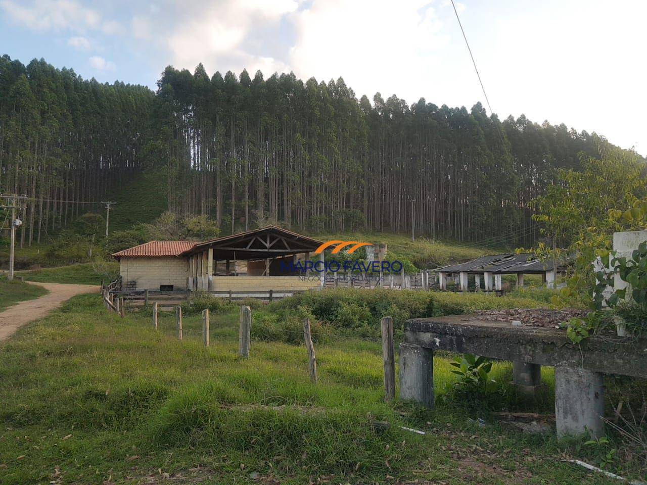 Fazenda, 303 hectares - Foto 4