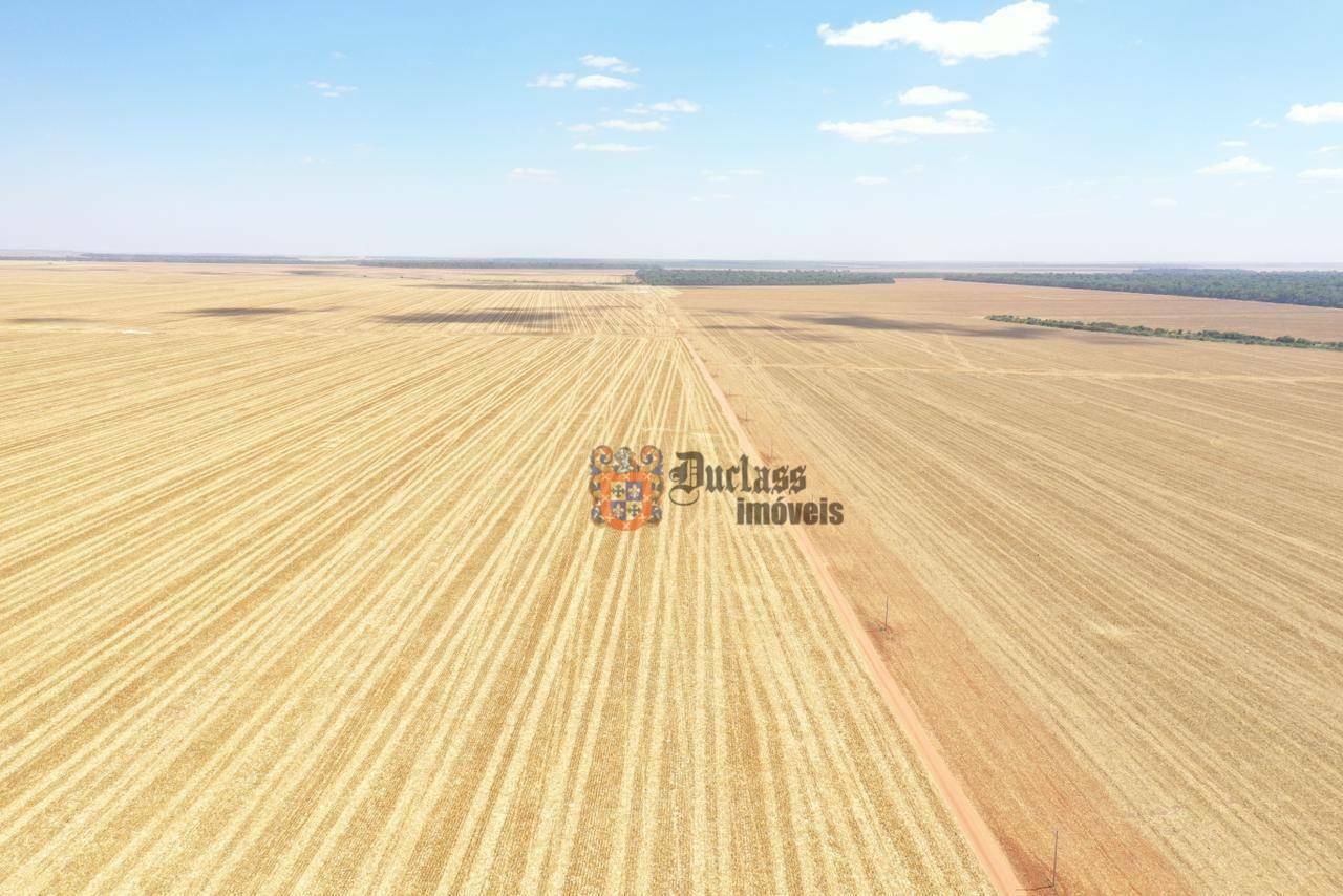 Fazenda, 7236 hectares - Foto 6