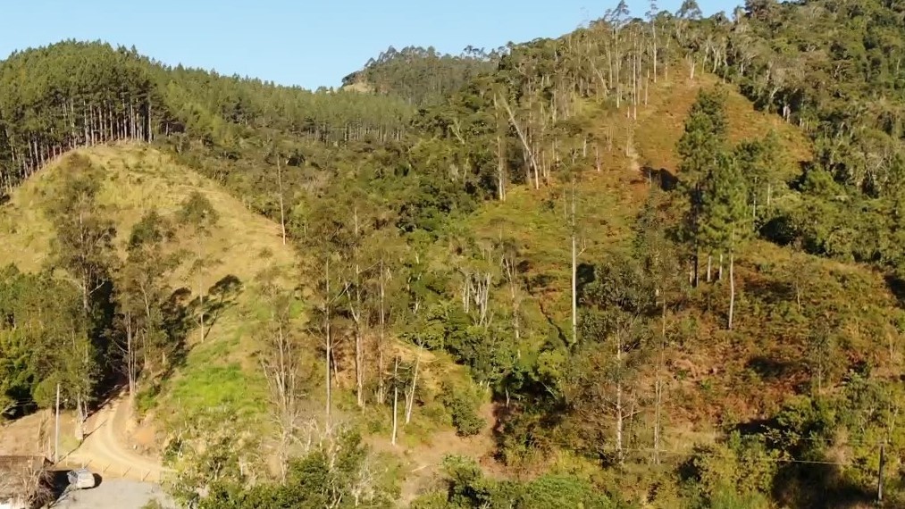 Sítio, 13 hectares - Foto 10