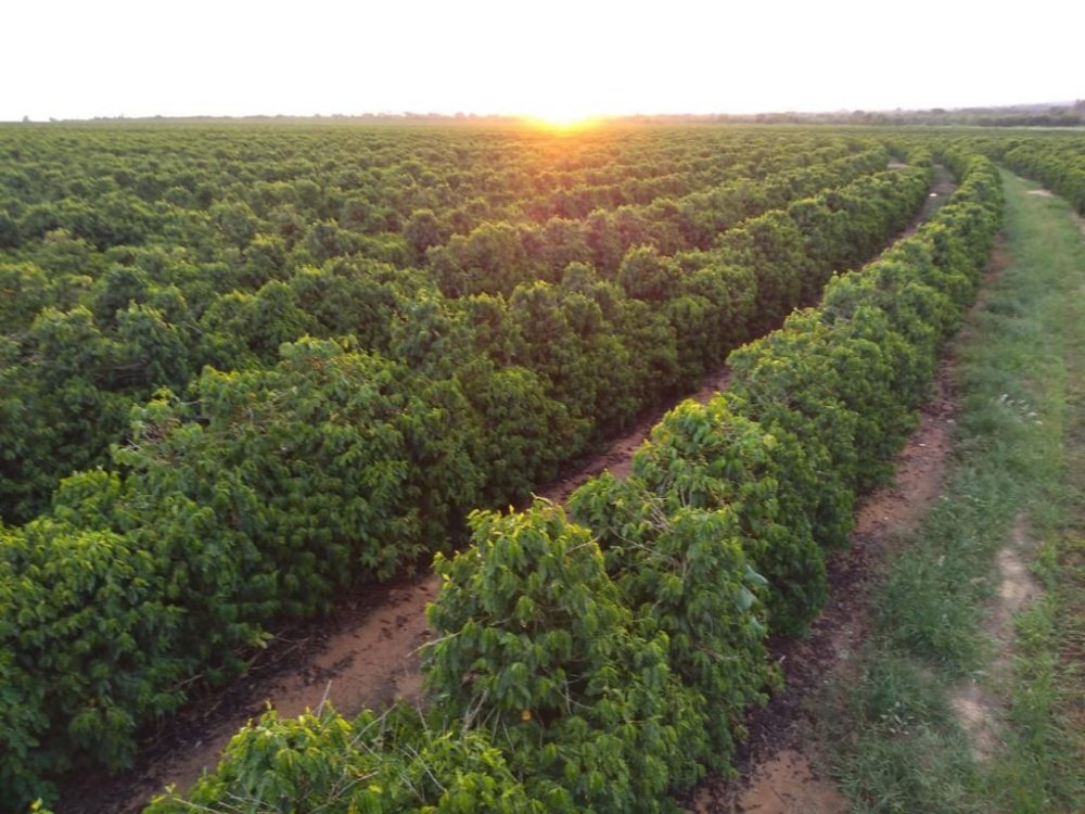 Fazenda à venda, 672m² - Foto 1