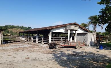 Fazenda à venda com 3 quartos, 110000m² - Foto 11