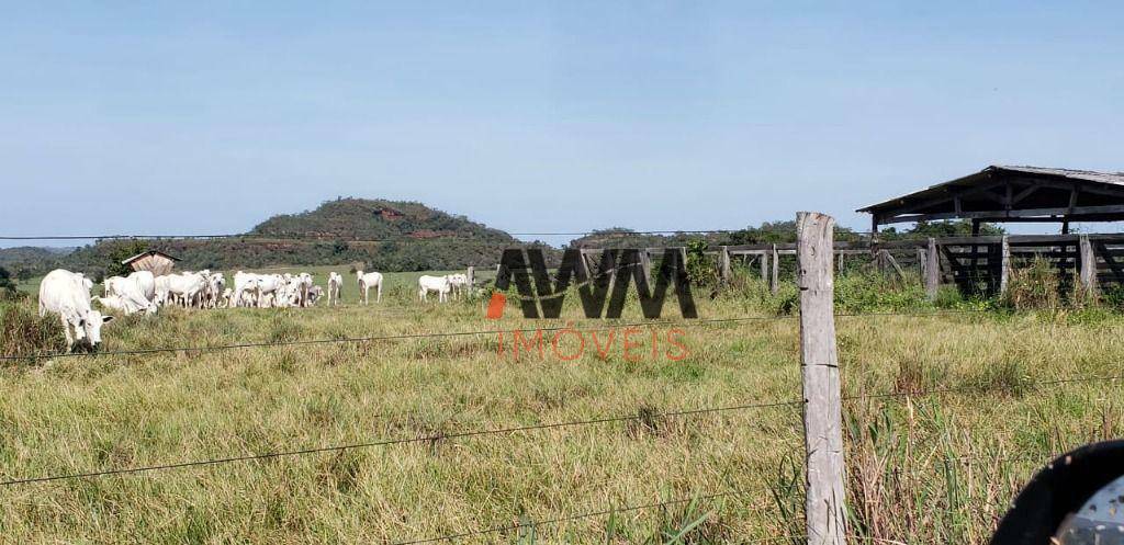 Fazenda à venda, 18246800M2 - Foto 17