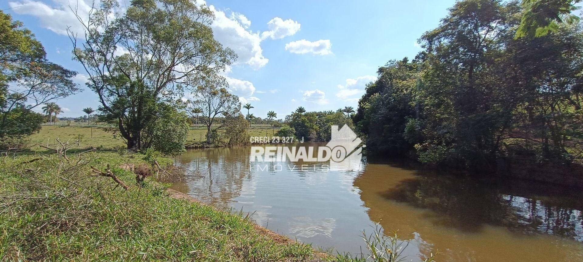 Haras e Área Rural Padrão à venda com 16 quartos, 2500m² - Foto 196