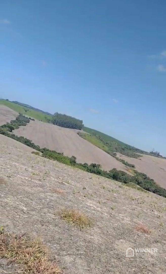 Fazenda à venda com 3 quartos, 3920000M2 - Foto 6