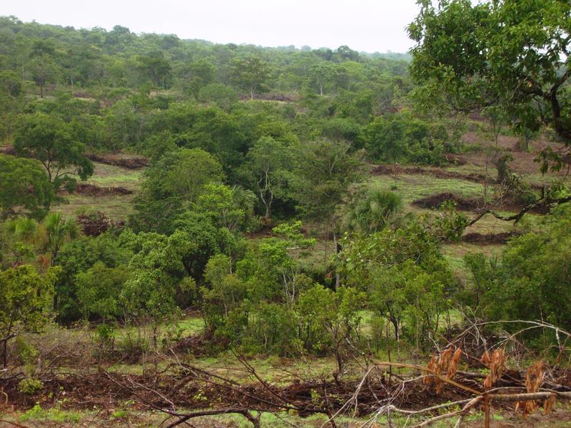 Fazenda à venda - Foto 20