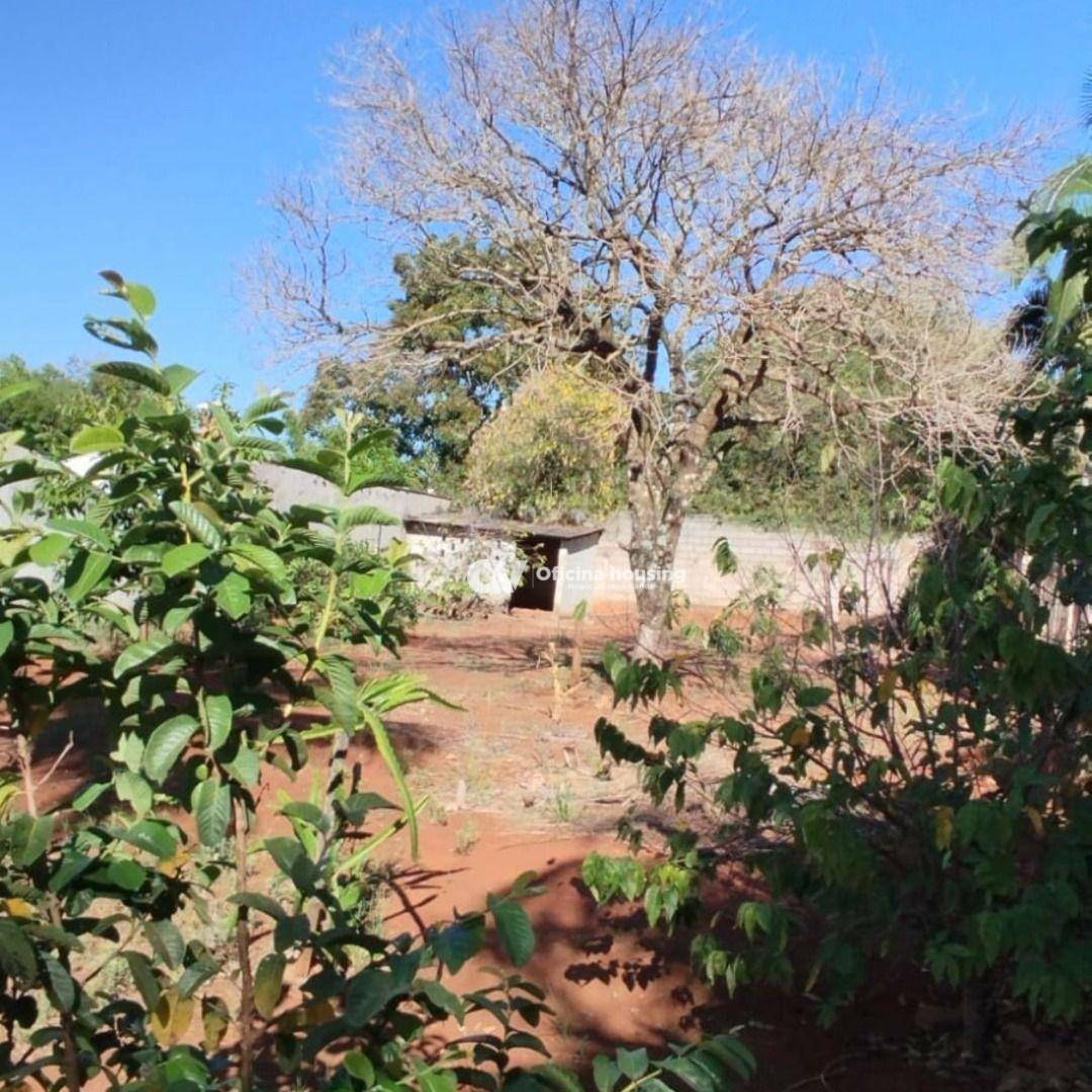 Chácara à venda com 3 quartos, 2500M2 - Foto 23