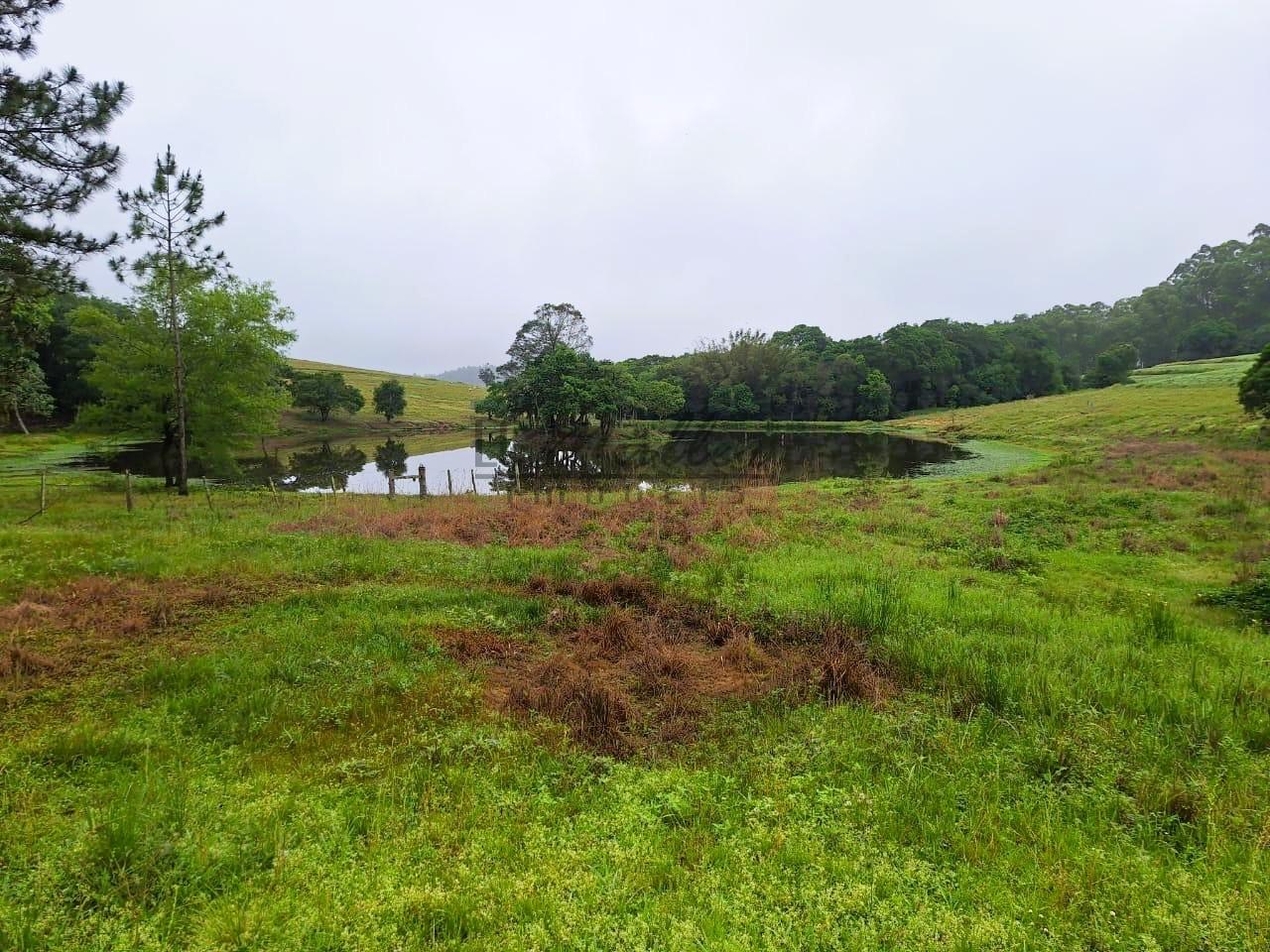 Fazenda à venda, 59m² - Foto 2