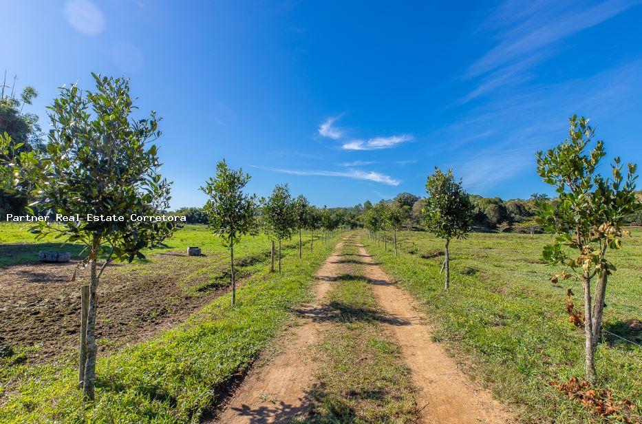 Fazenda à venda com 1 quarto, 2750000m² - Foto 4