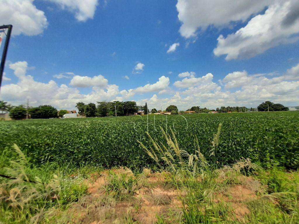 Terreno à venda, 30250M2 - Foto 4