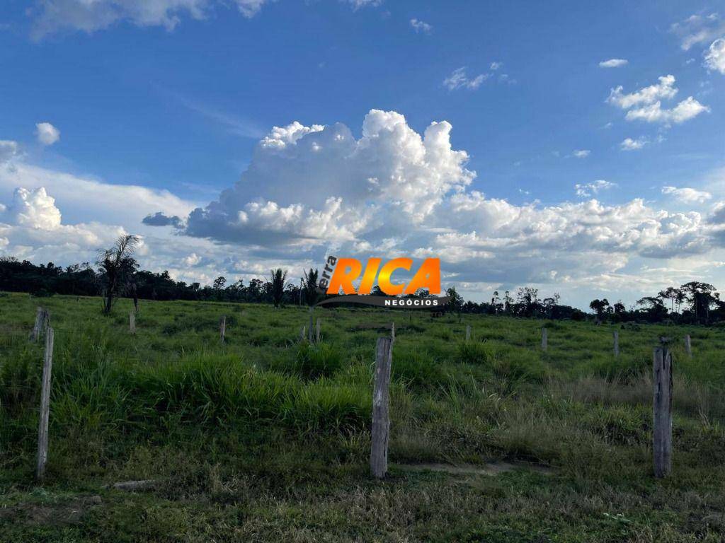 Sítio, 40 hectares - Foto 31