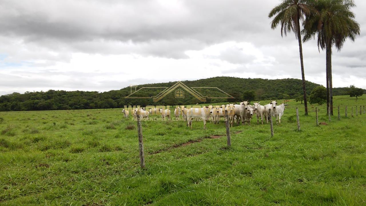 Fazenda à venda, 1435m² - Foto 11