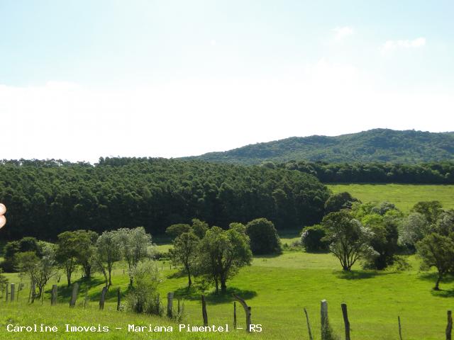 Fazenda à venda com 5 quartos, 625000m² - Foto 22