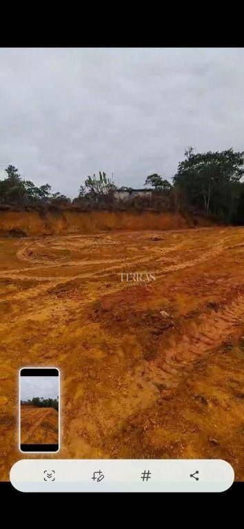 Loteamento e Condomínio, 5000 m² - Foto 3