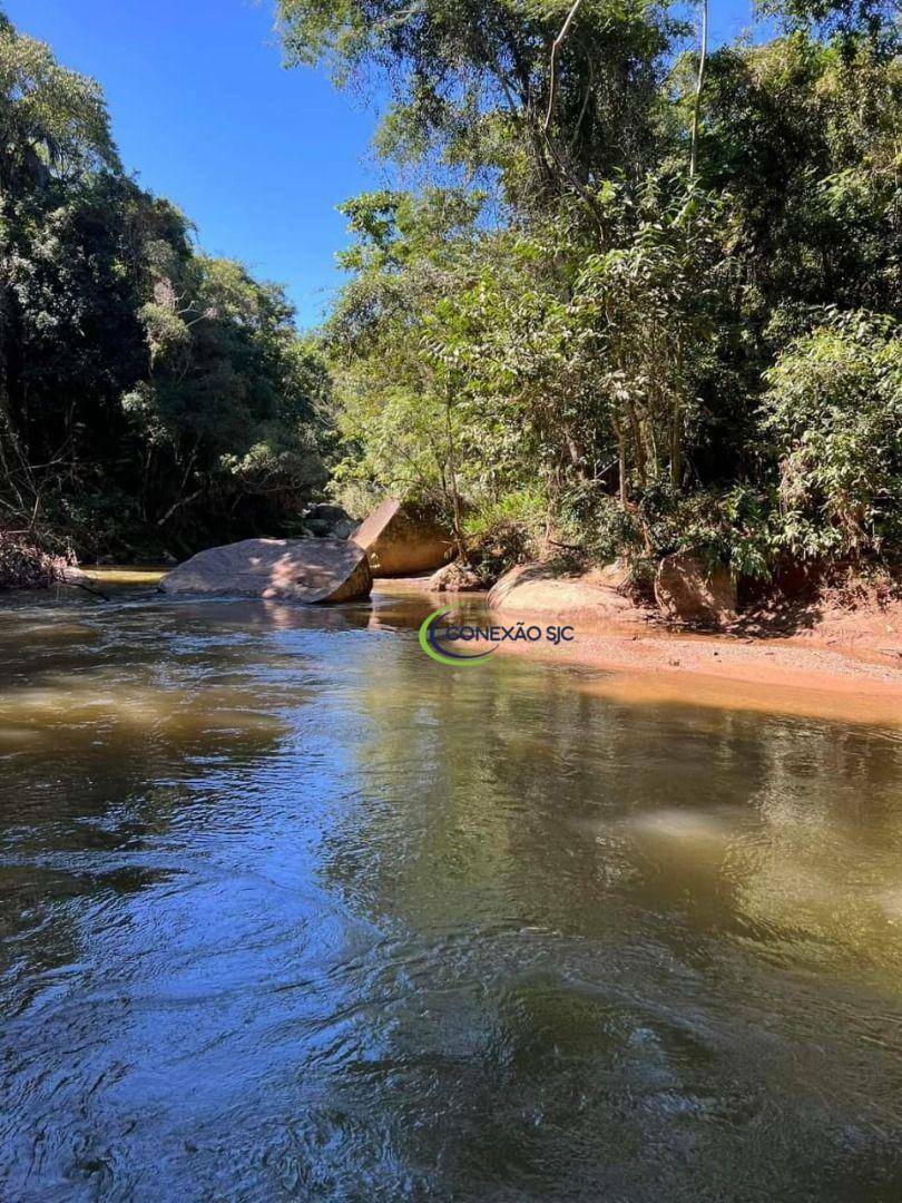 Sítio à venda com 2 quartos, 726000M2 - Foto 4