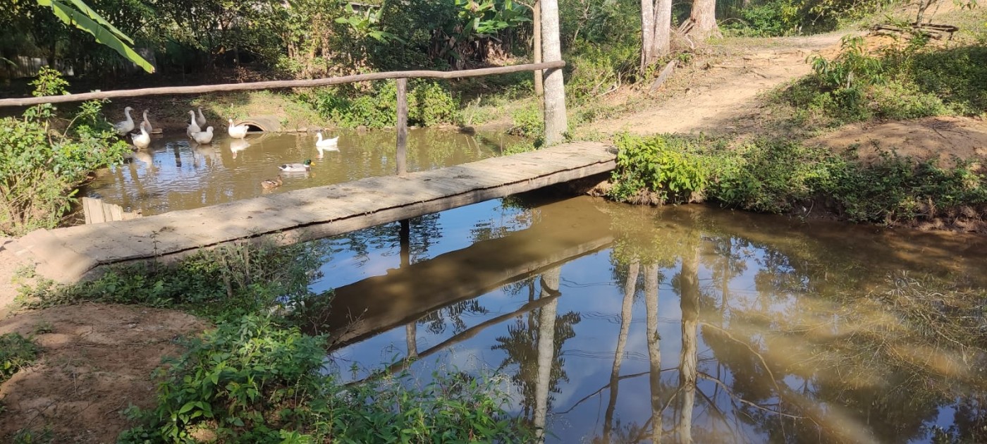 Chácara à venda com 2 quartos, 5000m² - Foto 7