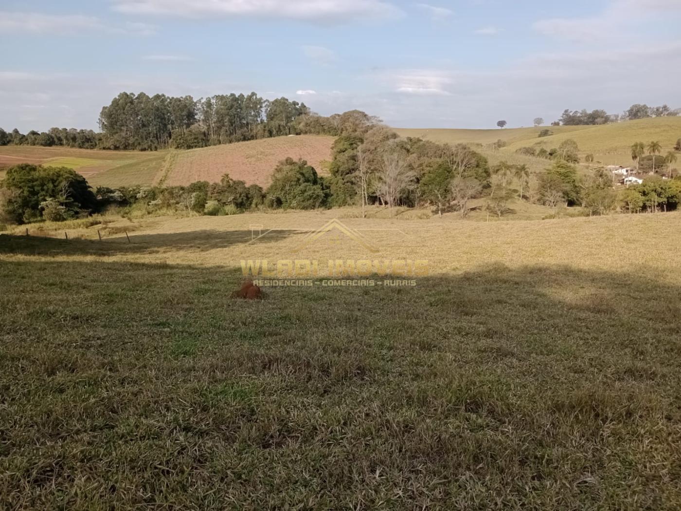 Fazenda à venda com 2 quartos, 4m² - Foto 2