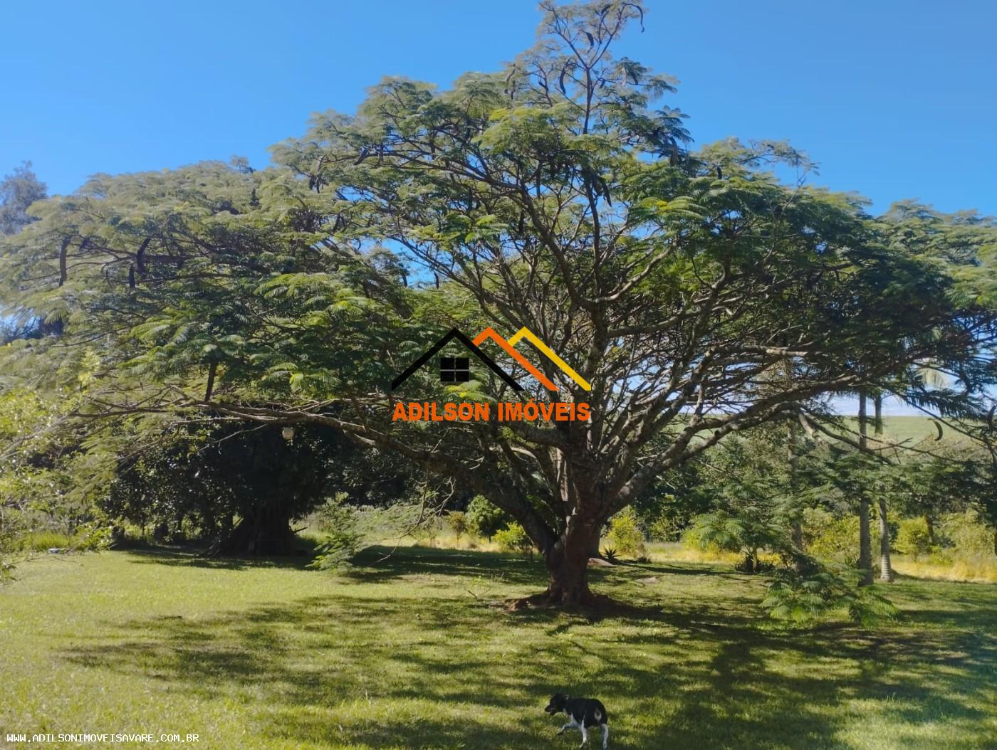 Chácara à venda com 2 quartos, 22000m² - Foto 7