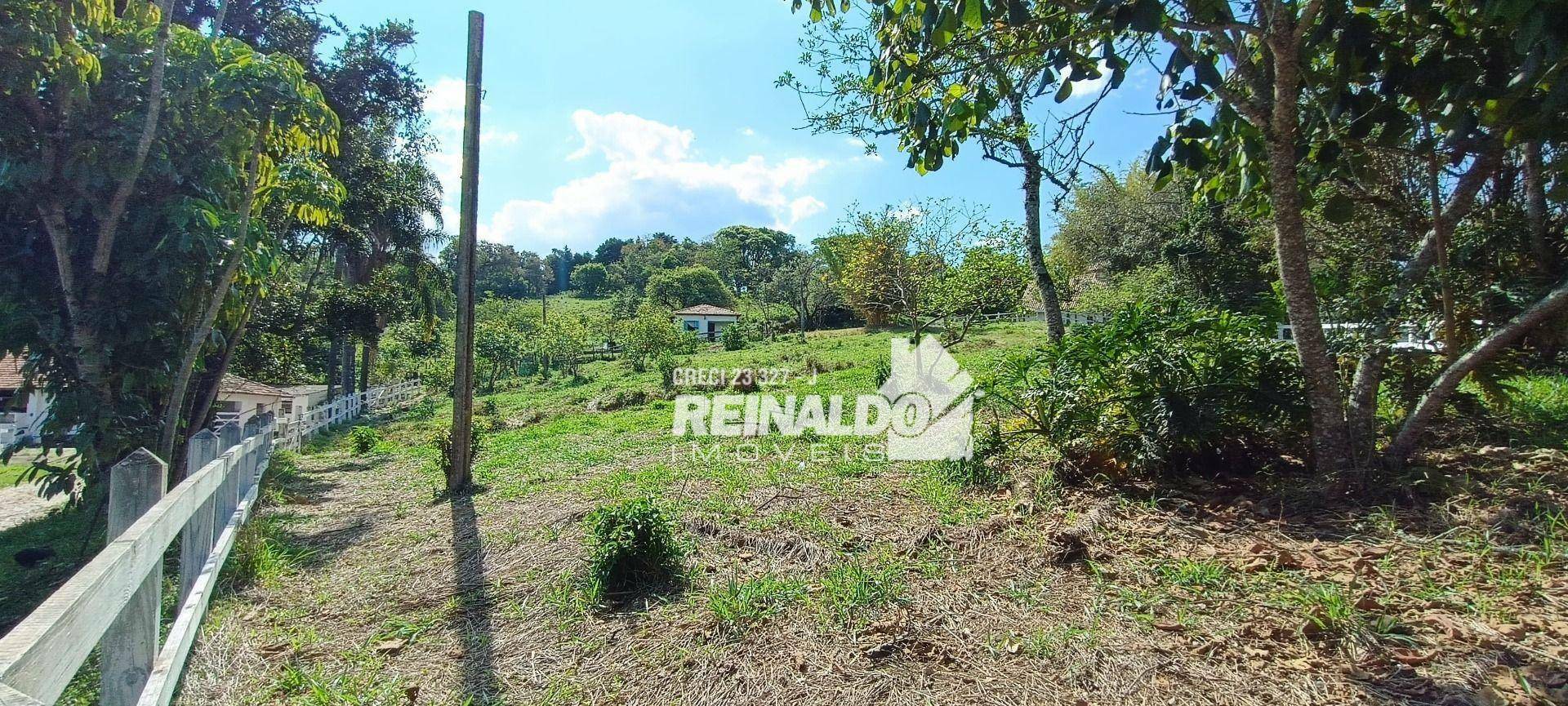 Haras e Área Rural Padrão à venda com 16 quartos, 2500m² - Foto 161