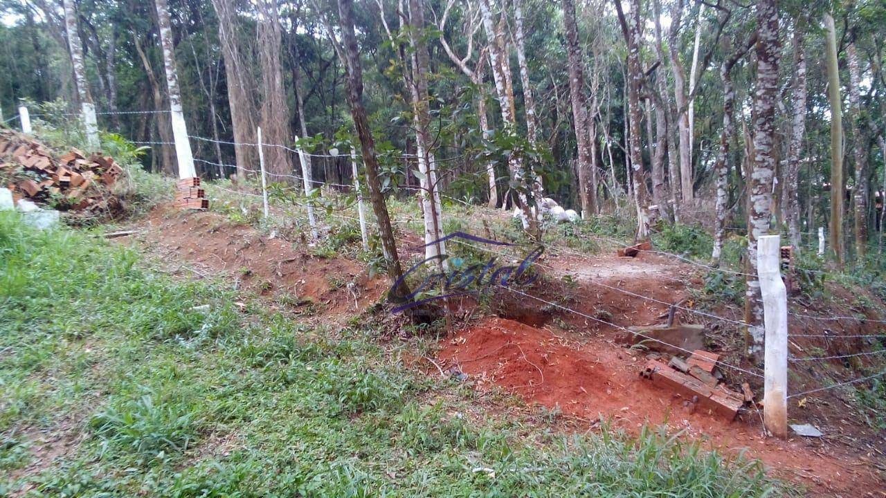 Terreno à venda, 1600M2 - Foto 4