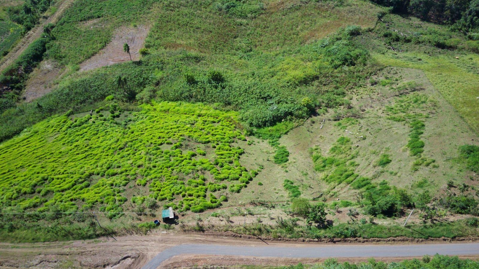 Terreno à venda, 3500m² - Foto 7