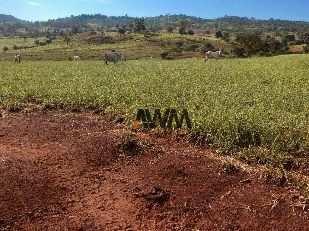 Fazenda à venda, 12100000M2 - Foto 32