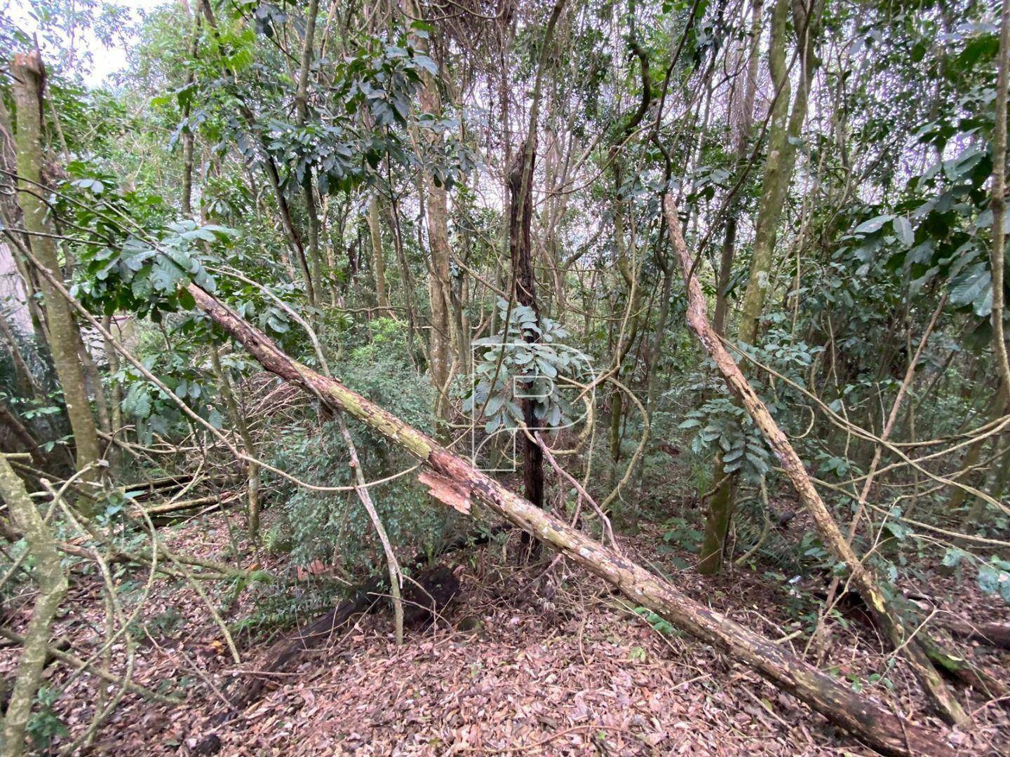 Loteamento e Condomínio à venda, 381M2 - Foto 20