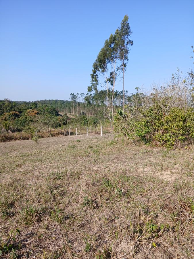 Fazenda à venda com 1 quarto, 96000m² - Foto 12