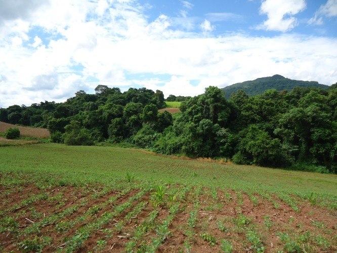 Fazenda à venda - Foto 5