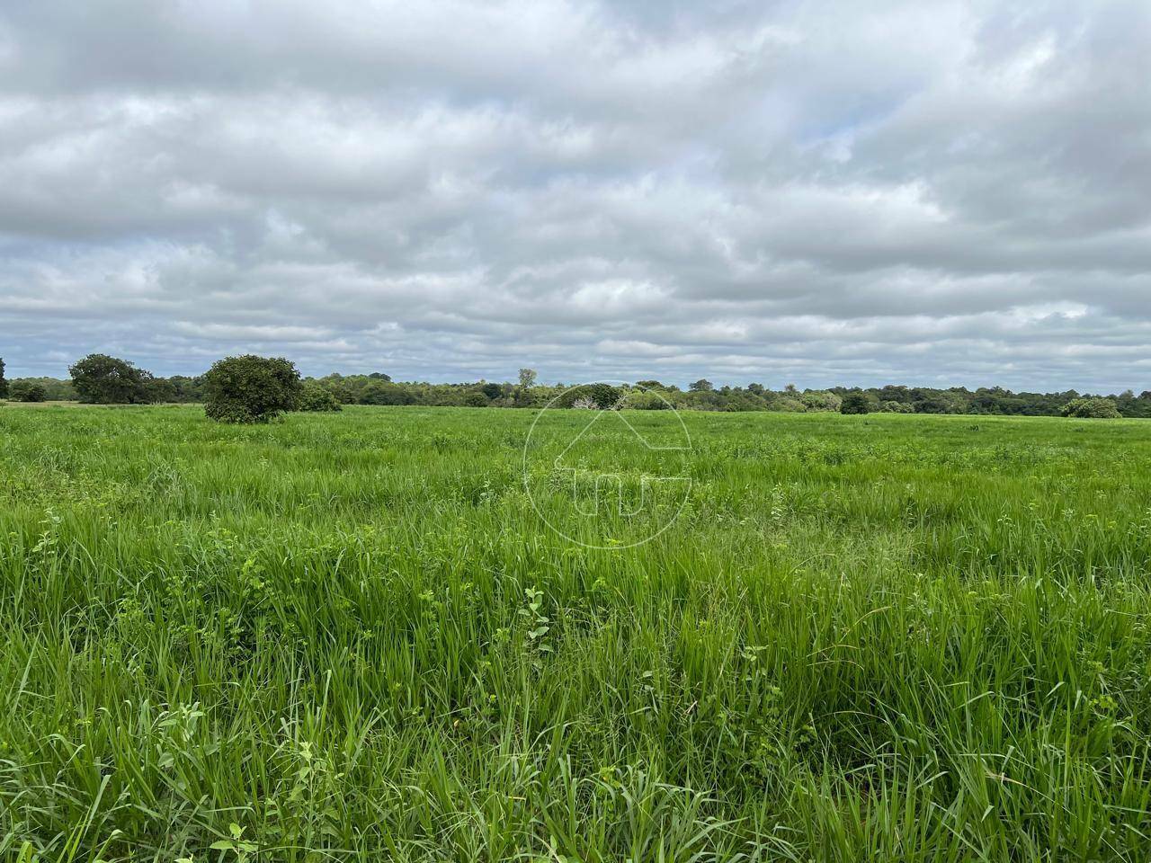 Fazenda à venda, 42910000M2 - Foto 19