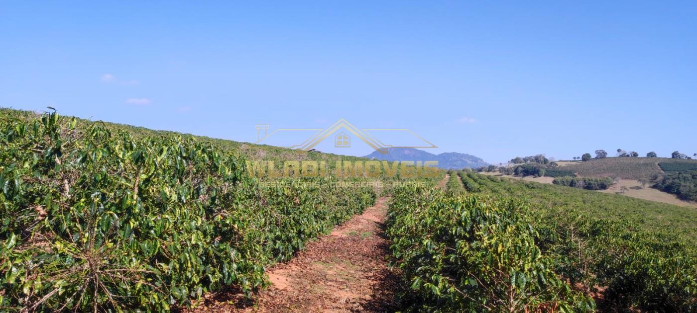 Sítio, 10 m² - Foto 16