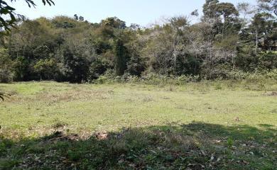 Fazenda à venda com 1 quarto, 240000m² - Foto 4