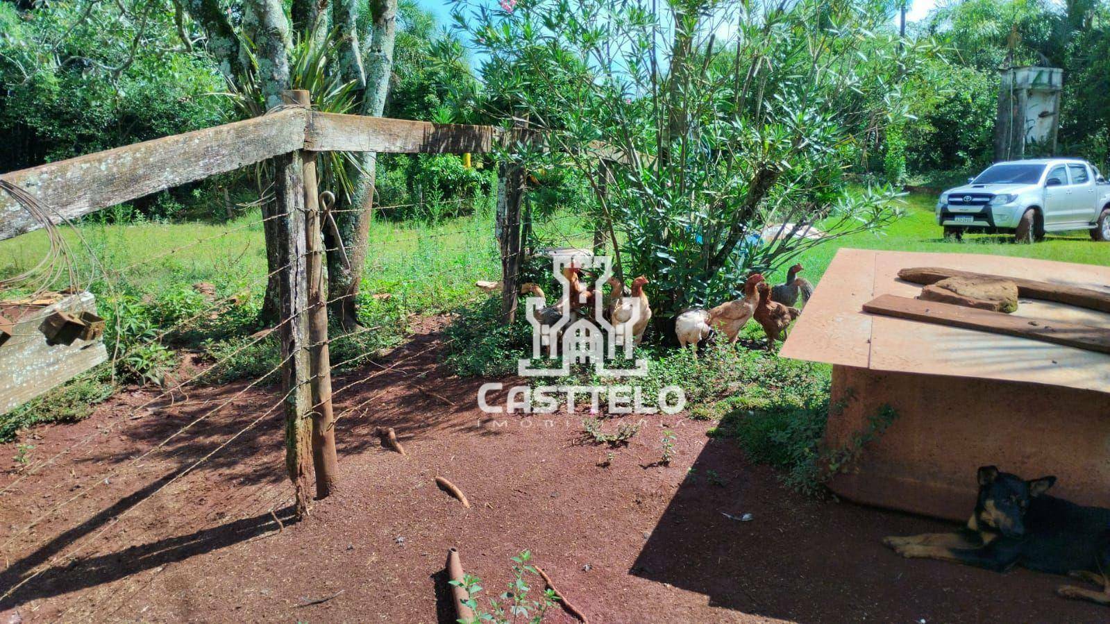 Sítio à venda com 7 quartos, 48000M2 - Foto 22