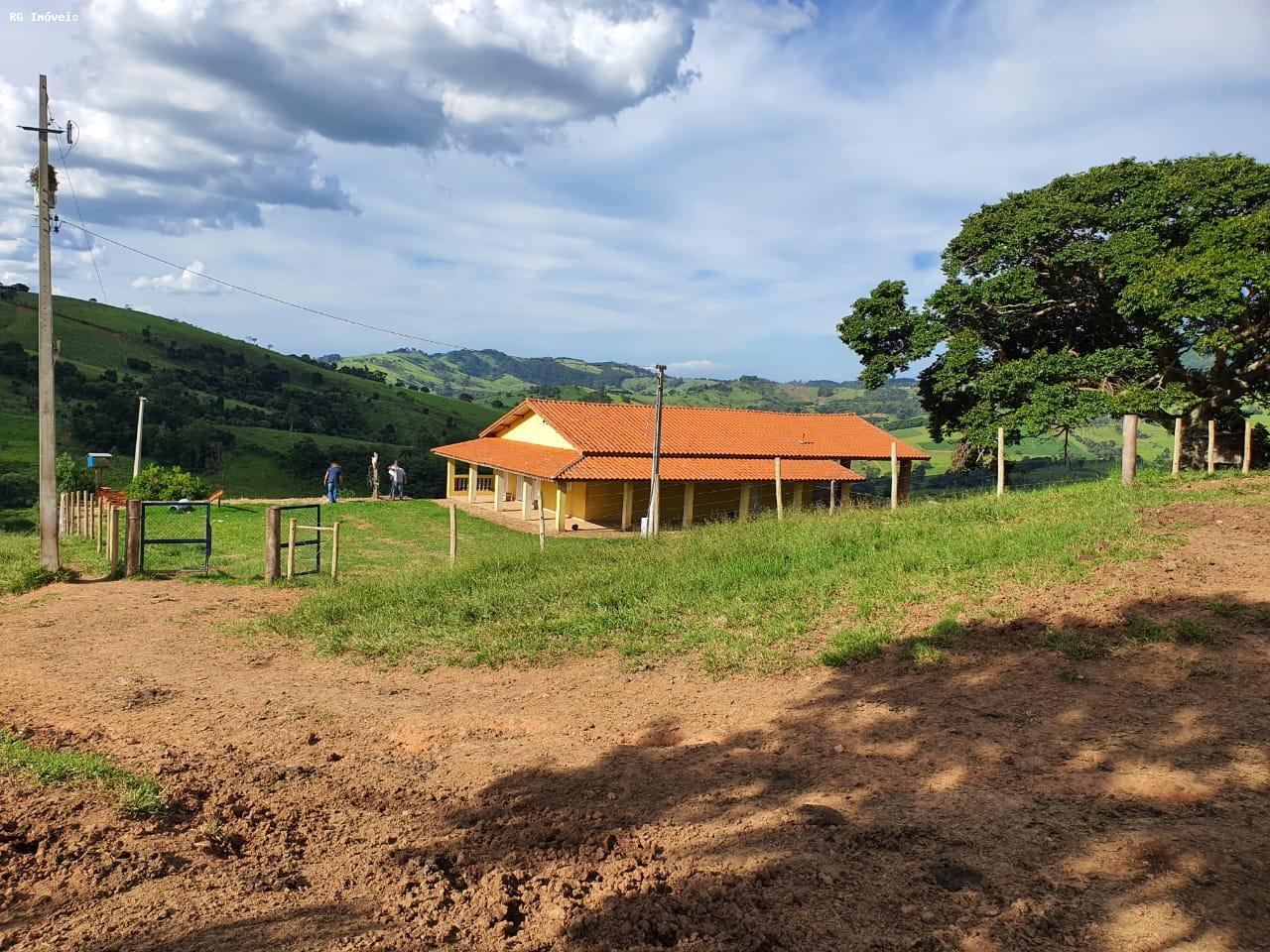 Fazenda à venda com 2 quartos, 220m² - Foto 3